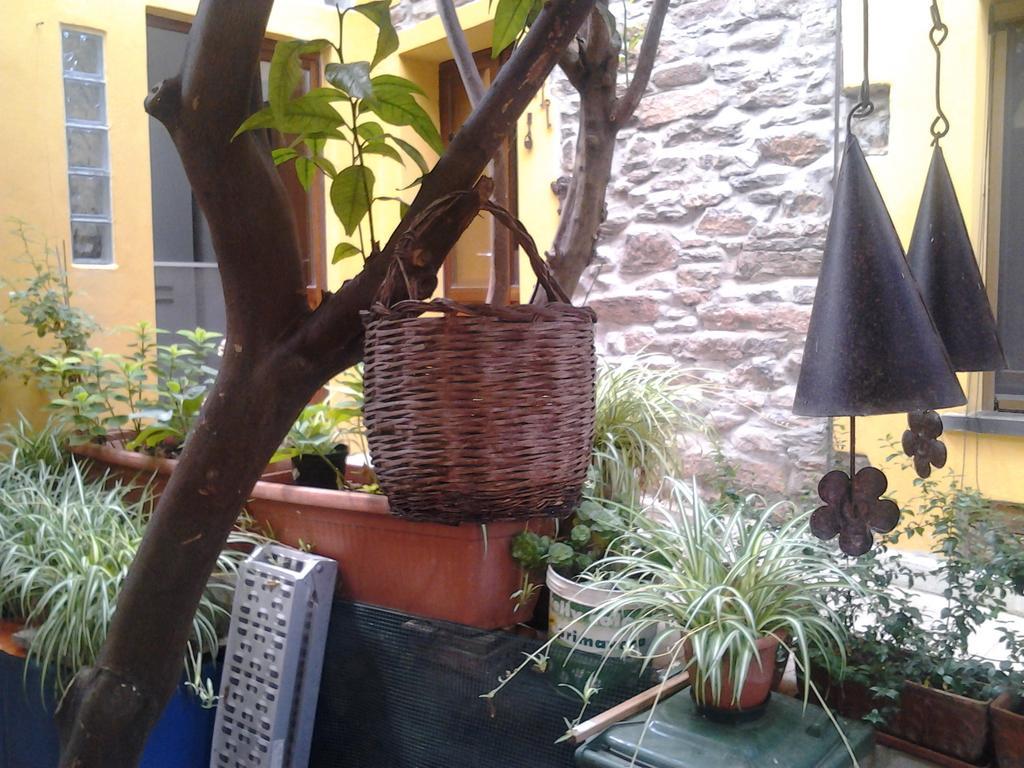 B&B Su Semucu Ballao Exteriér fotografie